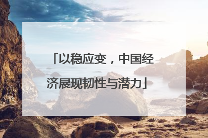以稳应变，中国经济展现韧性与潜力