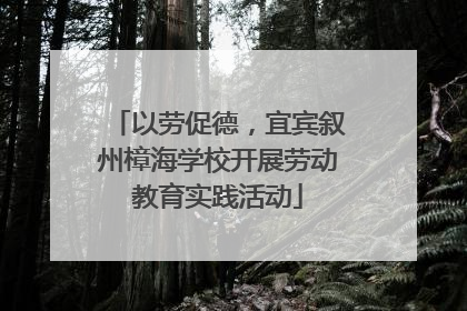 以劳促德，宜宾叙州樟海学校开展劳动教育实践活动