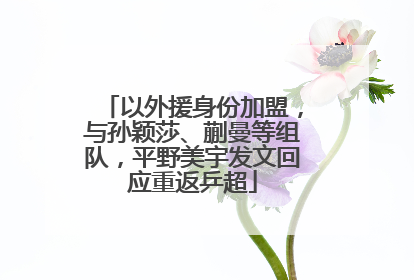以外援身份加盟，与孙颖莎、蒯曼等组队，平野美宇发文回应重返乒超