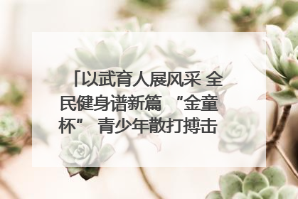 以武育人展风采 全民健身谱新篇 “金童杯” 青少年散打搏击邀请赛圆满落幕