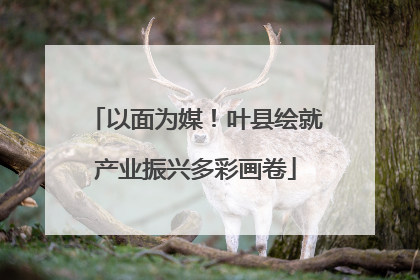 以面为媒！叶县绘就产业振兴多彩画卷
