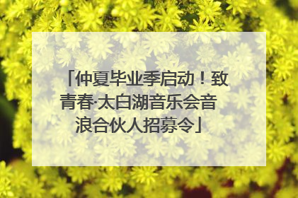 仲夏毕业季启动！致青春·太白湖音乐会音浪合伙人招募令