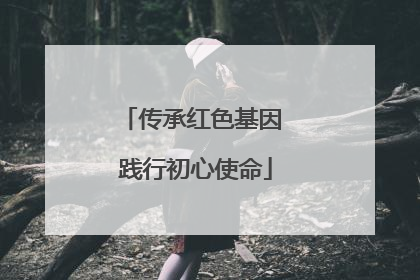 传承红色基因 践行初心使命