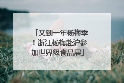 又到一年杨梅季！浙江杨梅赴沪参加世界级食品展