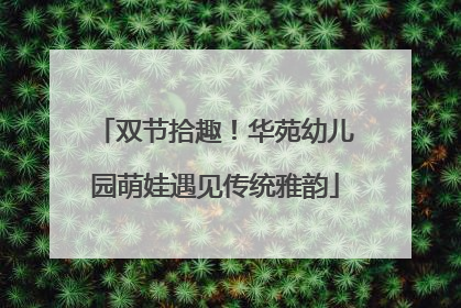 双节拾趣！华苑幼儿园萌娃遇见传统雅韵