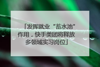 发挥就业“蓄水池”作用，快手美团将释放多领域实习岗位