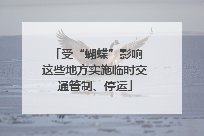 受“蝴蝶”影响 这些地方实施临时交通管制、停运