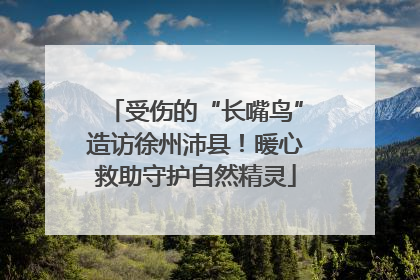受伤的“长嘴鸟”造访徐州沛县！暖心救助守护自然精灵