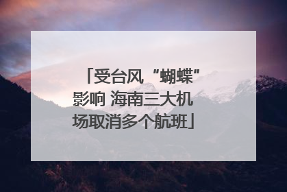 受台风“蝴蝶”影响 海南三大机场取消多个航班