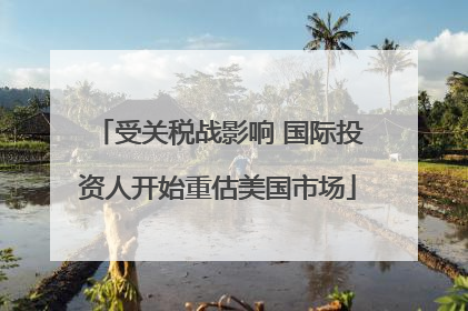 受关税战影响 国际投资人开始重估美国市场