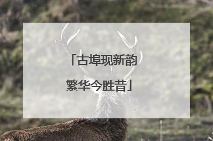古埠现新韵 繁华今胜昔