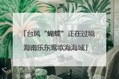 台风“蝴蝶”正在过境海南乐东莺歌海海域