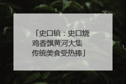 史口镇：史口烧鸡香飘黄河大集 传统美食受热捧