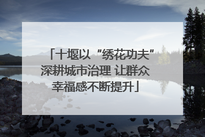 十堰以“绣花功夫”深耕城市治理 让群众幸福感不断提升