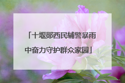 十堰郧西民辅警暴雨中奋力守护群众家园