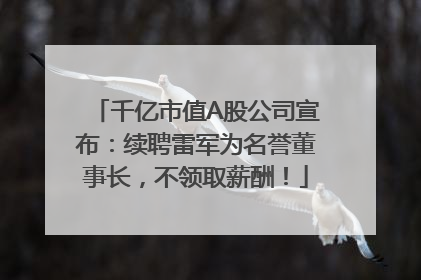 千亿市值A股公司宣布：续聘雷军为名誉董事长，不领取薪酬！