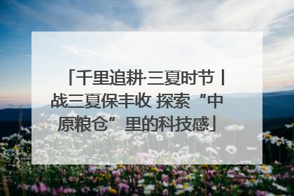 千里追耕·三夏时节丨战三夏保丰收 探索“中原粮仓”里的科技感