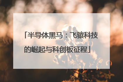 半导体黑马：飞骧科技的崛起与科创板征程
