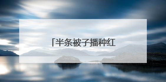 半条被子播种红色基因《沙洲的“小树苗”》出版