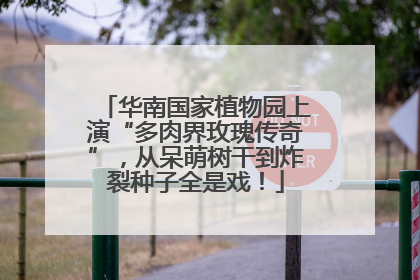 华南国家植物园上演“多肉界玫瑰传奇”，从呆萌树干到炸裂种子全是戏！