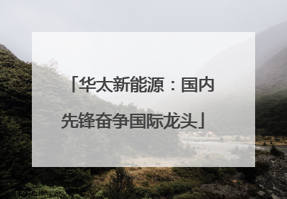 华太新能源：国内先锋奋争国际龙头