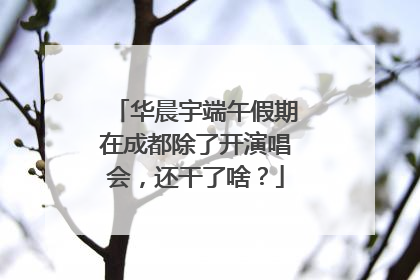华晨宇端午假期在成都除了开演唱会，还干了啥？