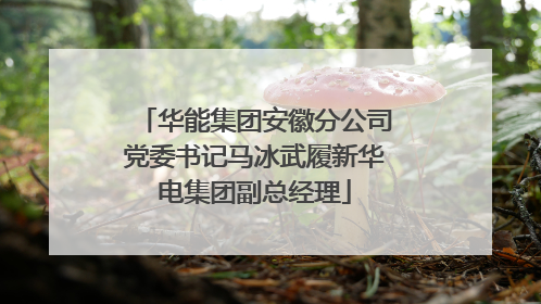 华能集团安徽分公司党委书记马冰武履新华电集团副总经理