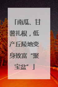 南瓜、甘薯扎根，低产丘陵地变身致富“聚宝盆”
