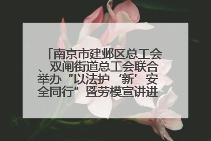 南京市建邺区总工会、双闸街道总工会联合举办“以法护‘新’安全同行”暨劳模宣讲进工地服务活动