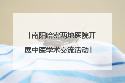 南阳哈密两地医院开展中医学术交流活动
