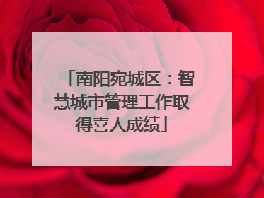 南阳宛城区：智慧城市管理工作取得喜人成绩