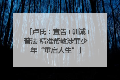 卢氏：宣告+训诫+普法 精准帮教涉罪少年“重启人生”
