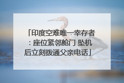印度空难唯一幸存者：座位紧邻舱门 坠机后立刻拨通父亲电话