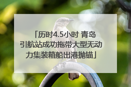 历时4.5小时 青岛引航站成功拖带大型无动力集装箱船出港抛锚