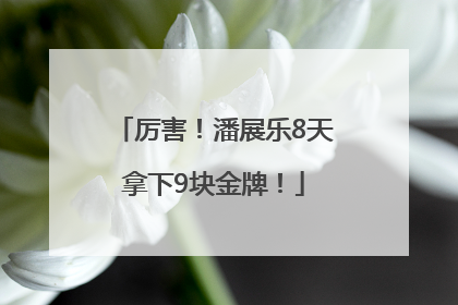 厉害！潘展乐8天拿下9块金牌！