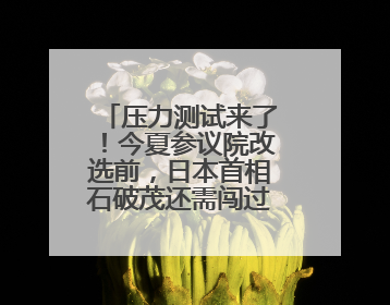 压力测试来了！今夏参议院改选前，日本首相石破茂还需闯过这一关