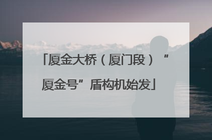 厦金大桥（厦门段）“厦金号”盾构机始发