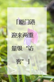 厦门港迎来两重量级“访客”