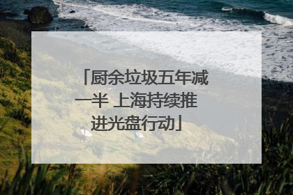 厨余垃圾五年减一半 上海持续推进光盘行动