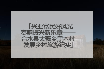 兴业富民好风光 奏响振兴新乐章——合水县太莪乡黑木村发展乡村旅游纪实