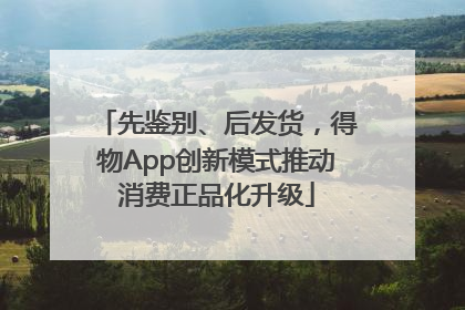 先鉴别、后发货，得物App创新模式推动消费正品化升级