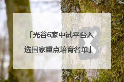 光谷6家中试平台入选国家重点培育名单