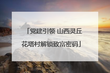 党建引领 山西灵丘花塔村解锁致富密码