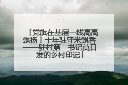 党旗在基层一线高高飘扬丨十年驻守米飘香——驻村第一书记莫日发的乡村印记