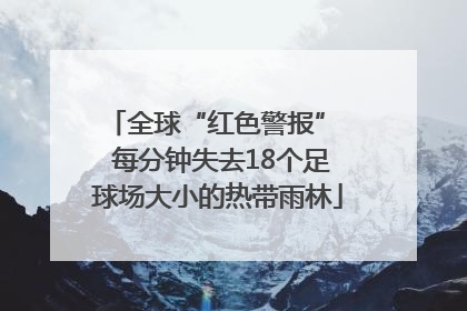 全球“红色警报”  每分钟失去18个足球场大小的热带雨林