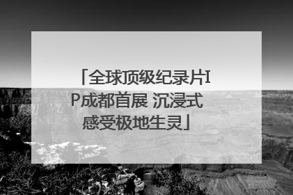 全球顶级纪录片IP成都首展 沉浸式感受极地生灵