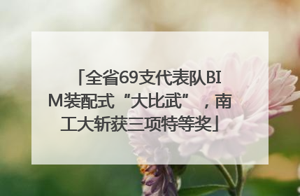 全省69支代表队BIM装配式“大比武”，南工大斩获三项特等奖