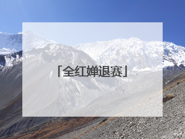 全红婵退赛
