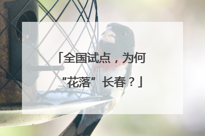 全国试点，为何“花落”长春？