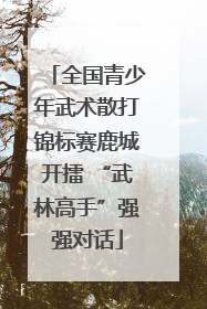 全国青少年武术散打锦标赛鹿城开擂 “武林高手”强强对话